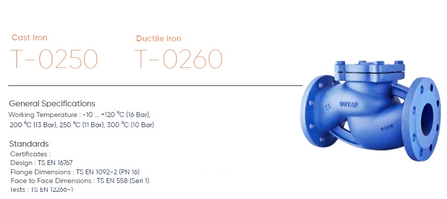 چک والو دویار Check Valve (With Spring PN 16) 